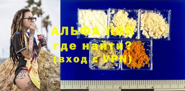 хмурый Новозыбков